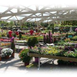 Jardinerie Sonofep