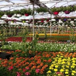 Jardinerie Teyssier