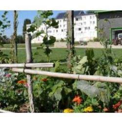 Jardins D’insertion Du Pont Blanc
