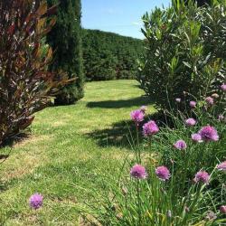Jardins Des Corbières