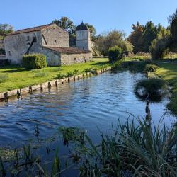 Jardins Du Château De La Roche Courbon