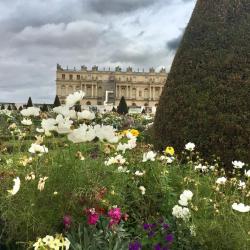 Jardins De Versailles