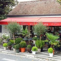Jardins Et Fleurs