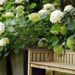 Jardins Intemporels
