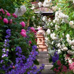 Jardins Secrets