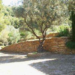 Jardinservicepaca