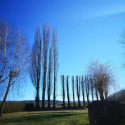 Jb Nature