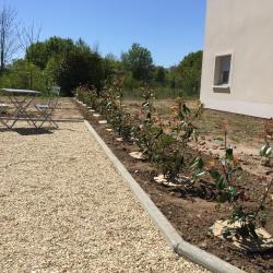 Jean-marc - Jardinier  - Cmonjardinier