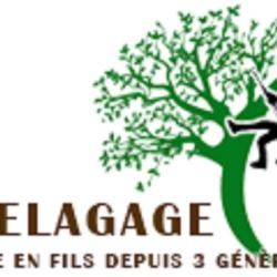 Jh élagage Dans Le 91: Le Bon Choix