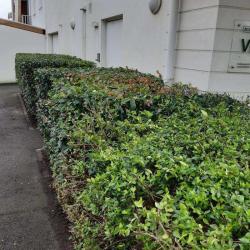 Jl Jardin 64