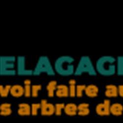 Jlg Elagage 28