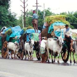 Jo & Jo Trading & Touring Pvt. Ltd.