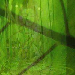 Sandrine Paviot-barlier