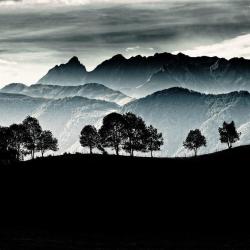 John Armstrong-millar Photographe