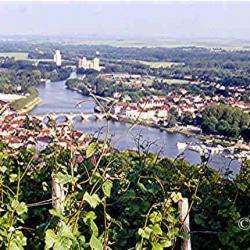 Joigny