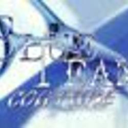 Blue Team