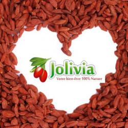 Jolivia