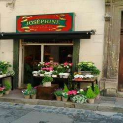 Joséphine  Artisan Fleuriste