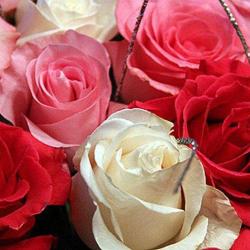 Josy Fleurs