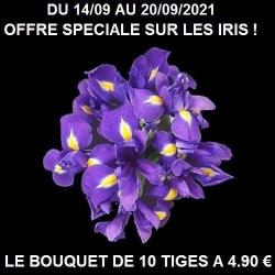 Jour De Fleur'aison