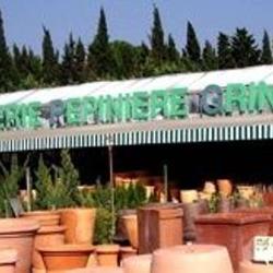 Jardinerie Pepinieres Grincard