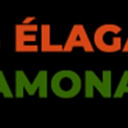 Js Elagage Ramonage 74