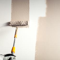 J.s Habitat