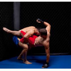 Judo Club Venellois