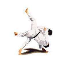 Judo Kwai De Pegomas