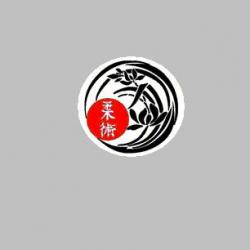 Jujitsu Club Pontois