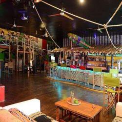 Jungle Pub