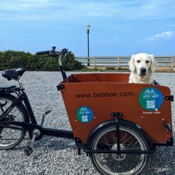 Juno Velo