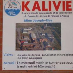 Kalivie