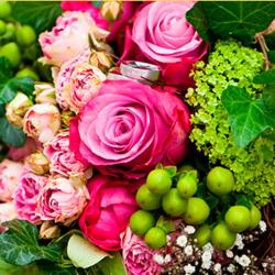 Jardinerie Fleuristerie Paysagiste