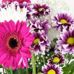 Fleurs Kammerer