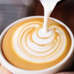 Kb Coffee Roasters