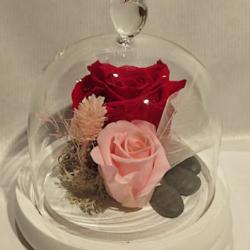 Kelly Fleurs