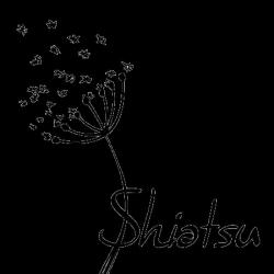 Ki Shiatsu Toulouse