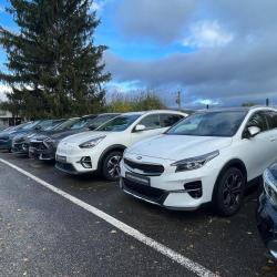 Kia Motors