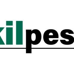Kilpest