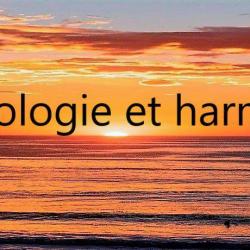 Kinésiologie Et Harmonie