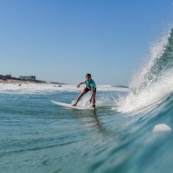 Kiwi Surf