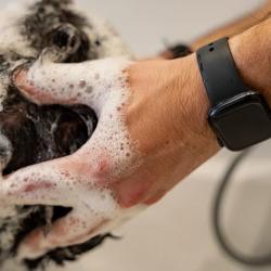 Koçali Barber