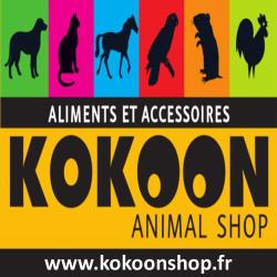 Kokoon Animal Shop