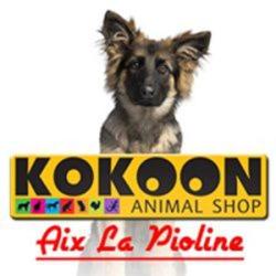 Kokoon Animal Shop