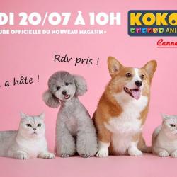 Kokoon Animal Shop Cannes