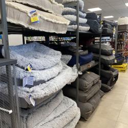 Kokoon Animal Shop Le Pradet