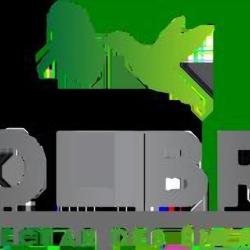 Kolibry
