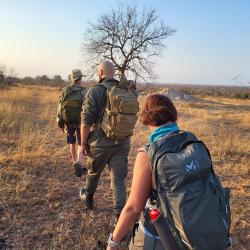 Kolokwé -  Des Safaris En Français