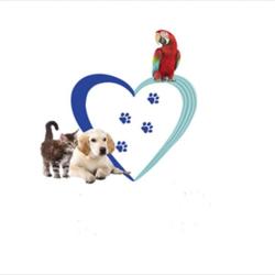 Kool Animaux 56